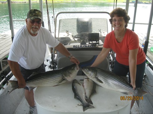 Nice Striped Bass